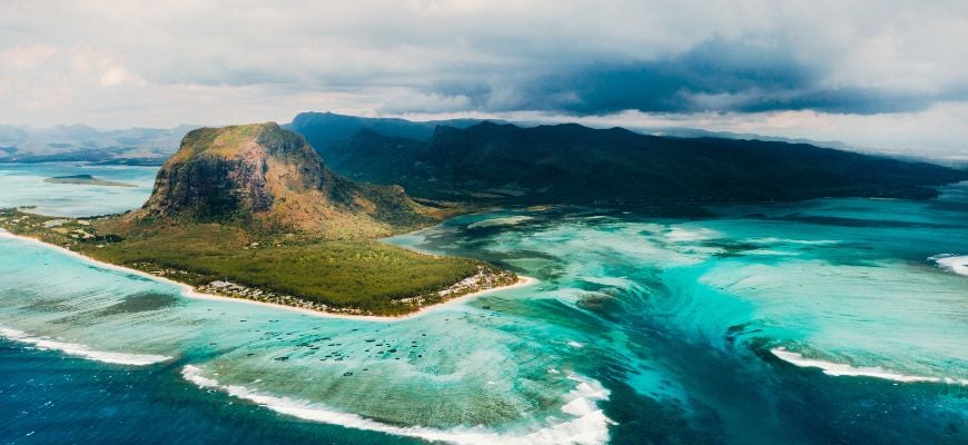 Eco-Viewing: Our Team's Favorite Nature Documentaries